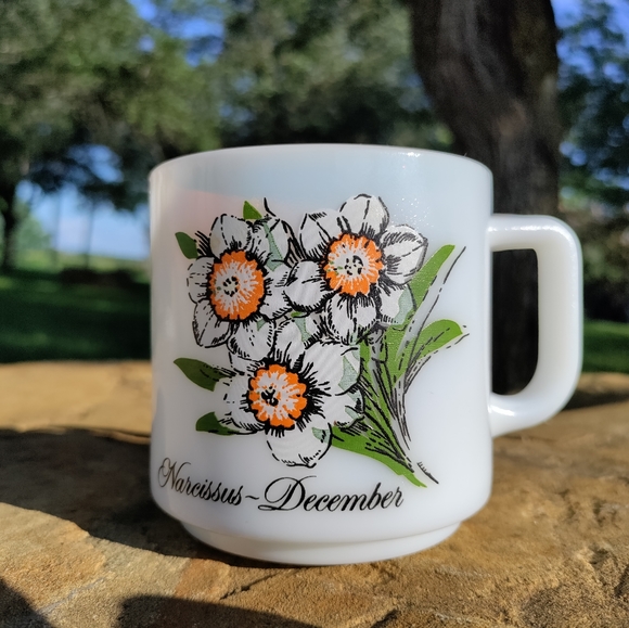Other - VTG December Narcissus flower milk glass mug
